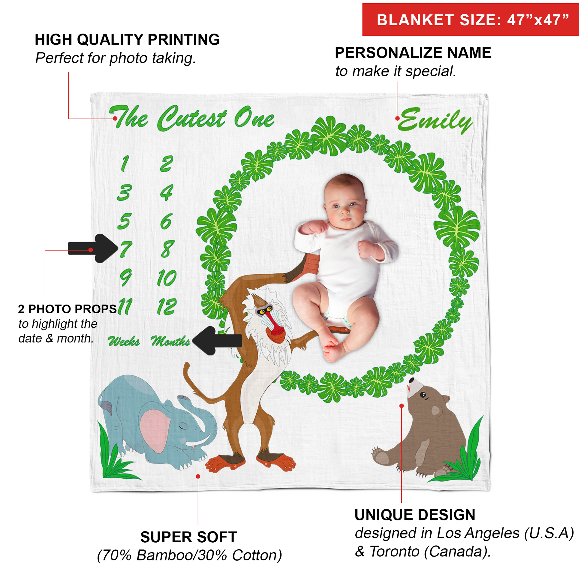 Personalized baby discount monthly milestone blanket